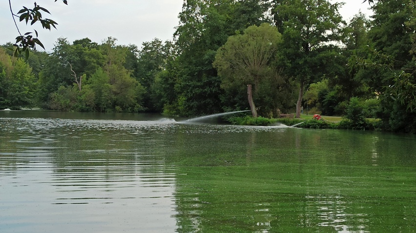 Begehung Aueweiher
