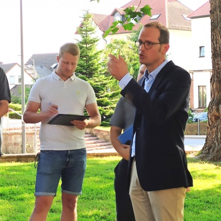 Größeres Bild ansehen